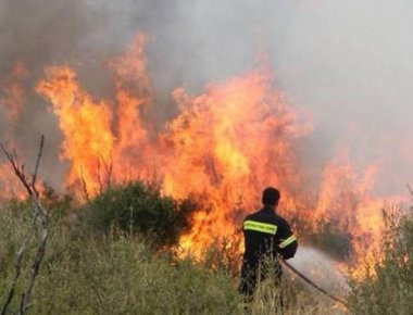 9 στις 10 πυρκαγιές ξεκινούν από ανθρώπους σύμφωνα με έρευνα